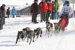 Lenk 2012 SM